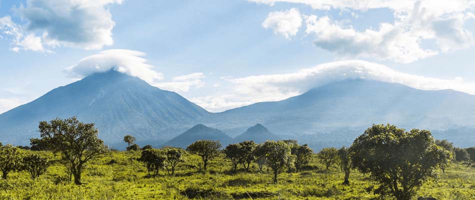 Volcanoes National Park - Gorilla Trek